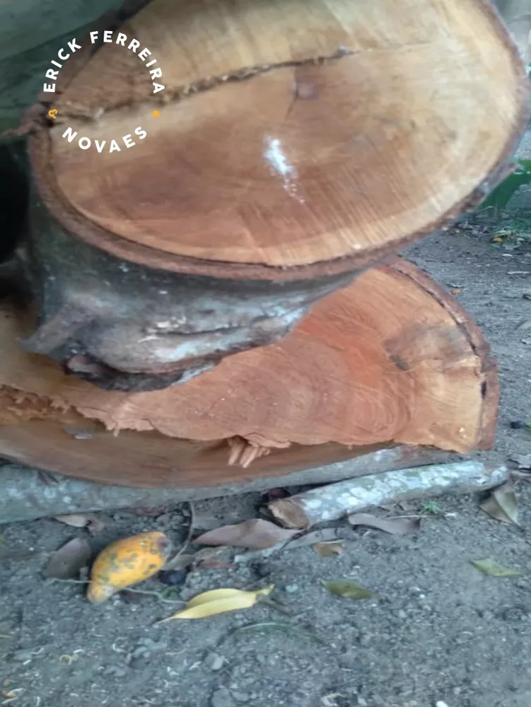 Chácara, 2 quartos - Foto 20