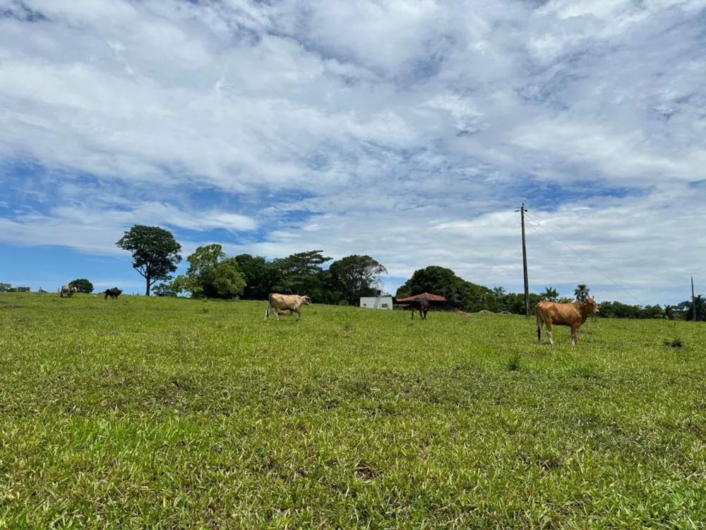 Chácara, 5 quartos, 7 hectares - Foto 7