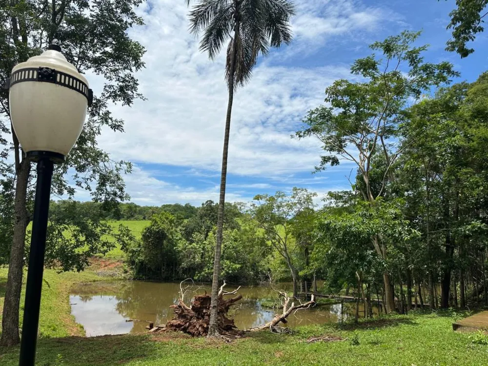 Chácara, 5 quartos, 7 hectares - Foto 10