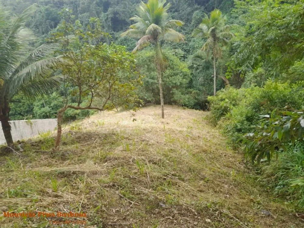 Sobrado, 4 quartos, 219 m² - Foto 10