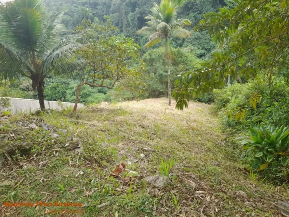 Casa, 4 quartos, 373 m² - Foto 5