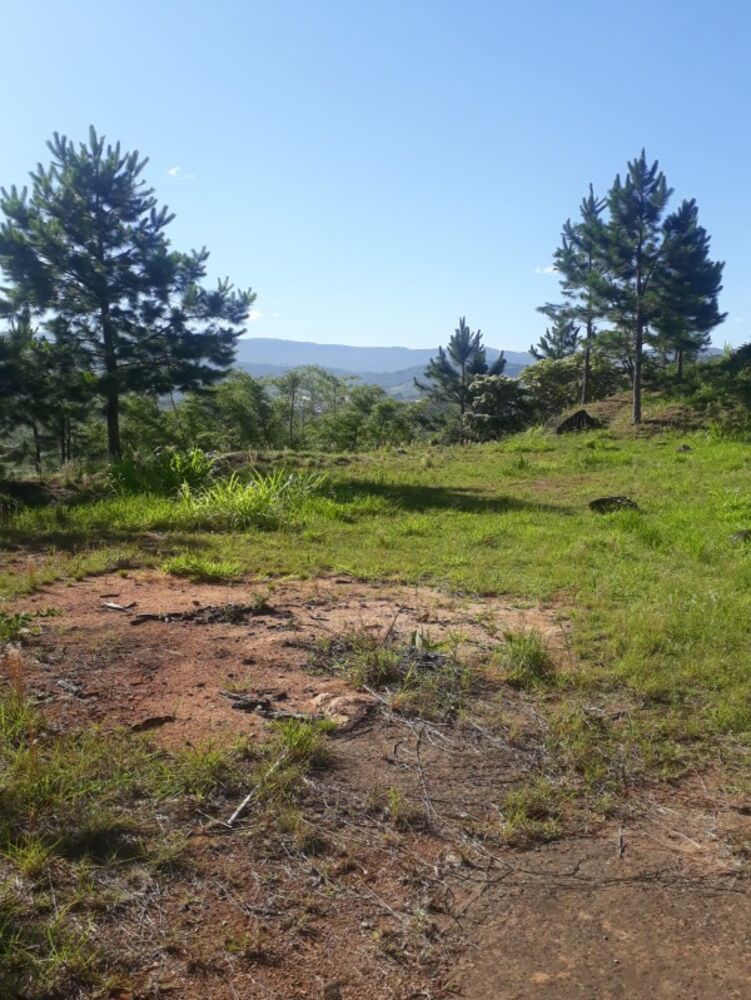 Terreno, 2640 m² - Foto 5