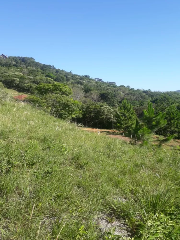 Terreno, 2640 m² - Foto 9