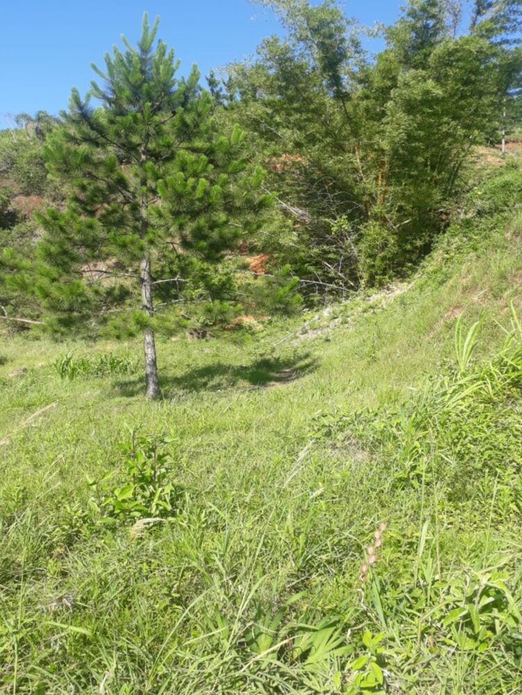 Terreno, 2640 m² - Foto 2