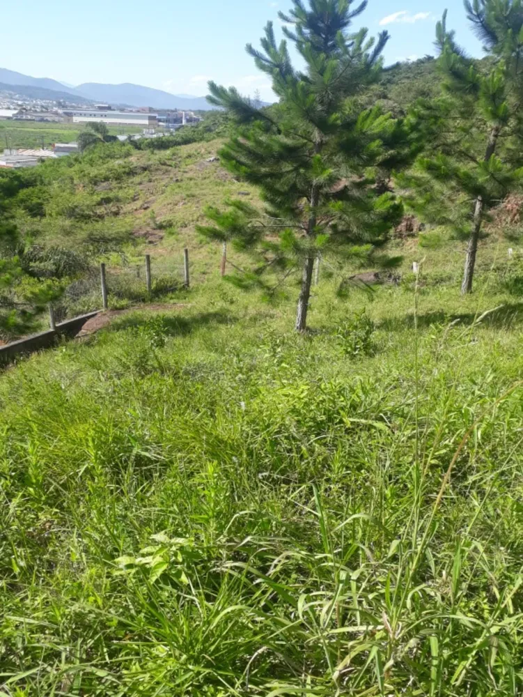 Terreno, 2640 m² - Foto 19