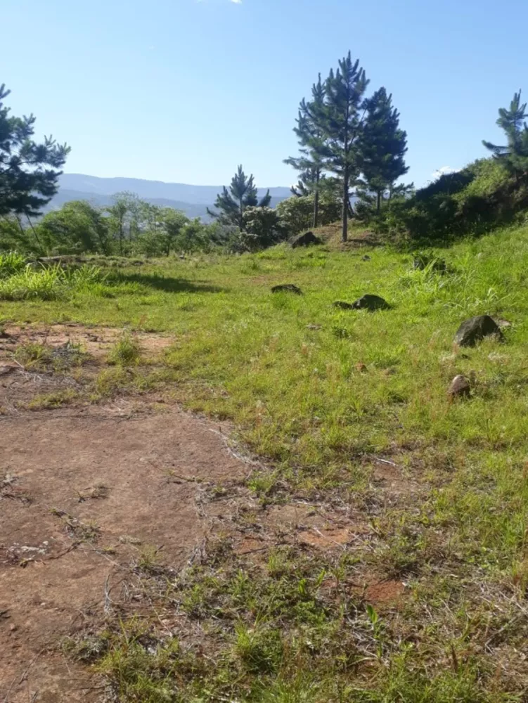 Terreno, 2640 m² - Foto 11