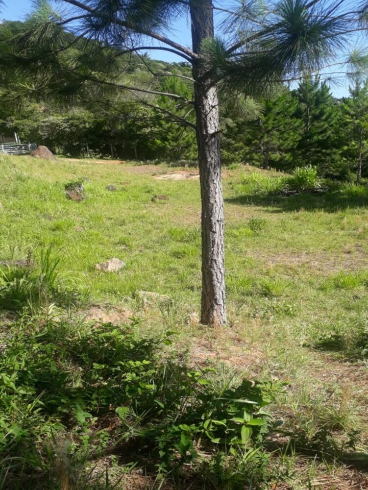 Terreno, 2640 m² - Foto 7