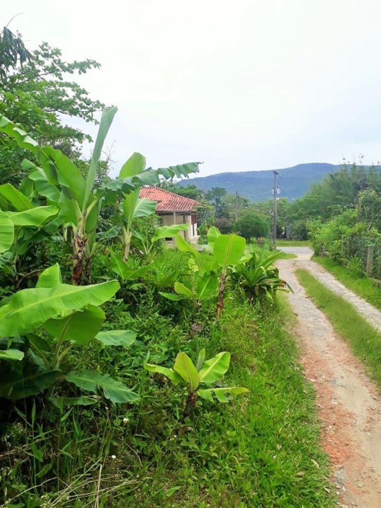 Terreno, 700 m² - Foto 7
