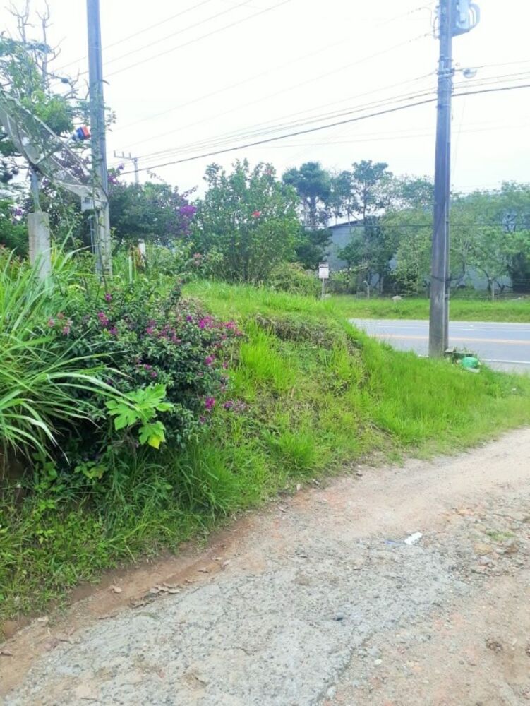 Terreno, 700 m² - Foto 8