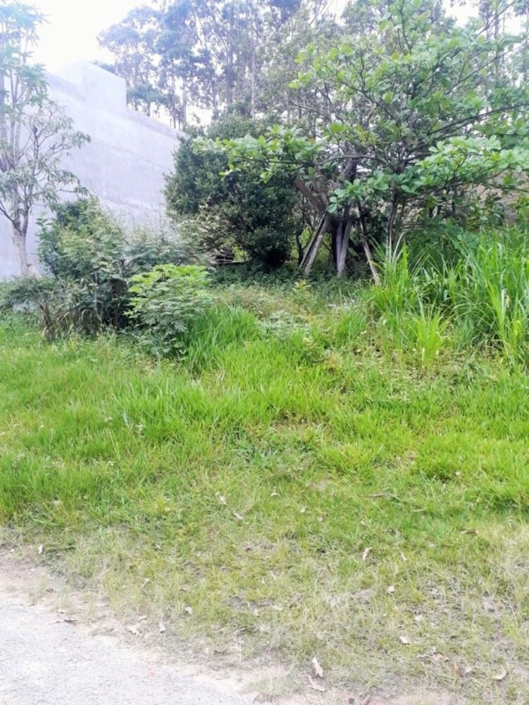 Terreno, 700 m² - Foto 1