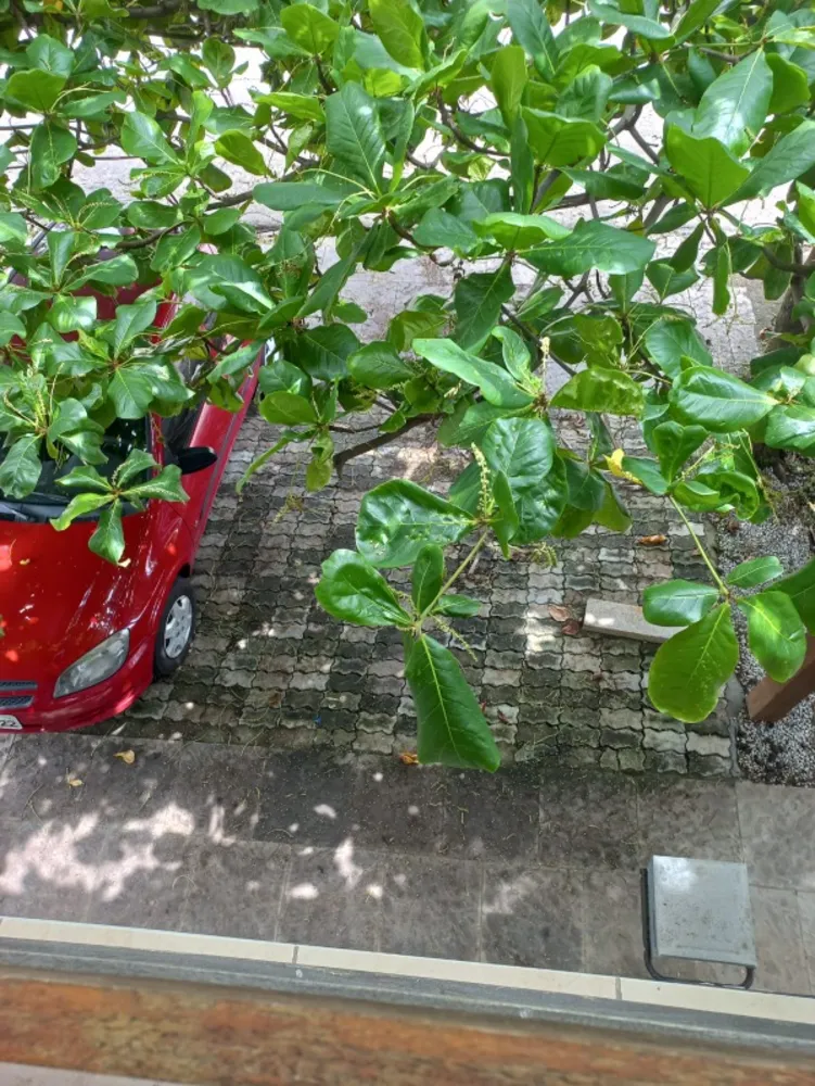 Apartamento, 2 quartos, 100 m² - Foto 4