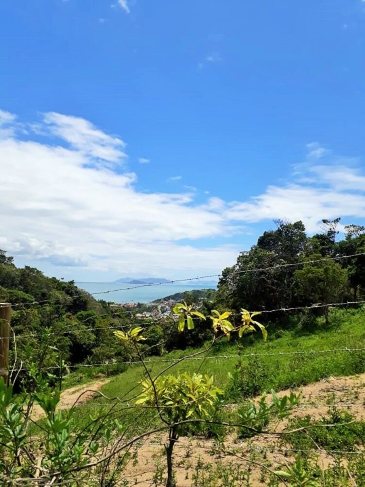 Terreno, 4500 m² - Foto 4