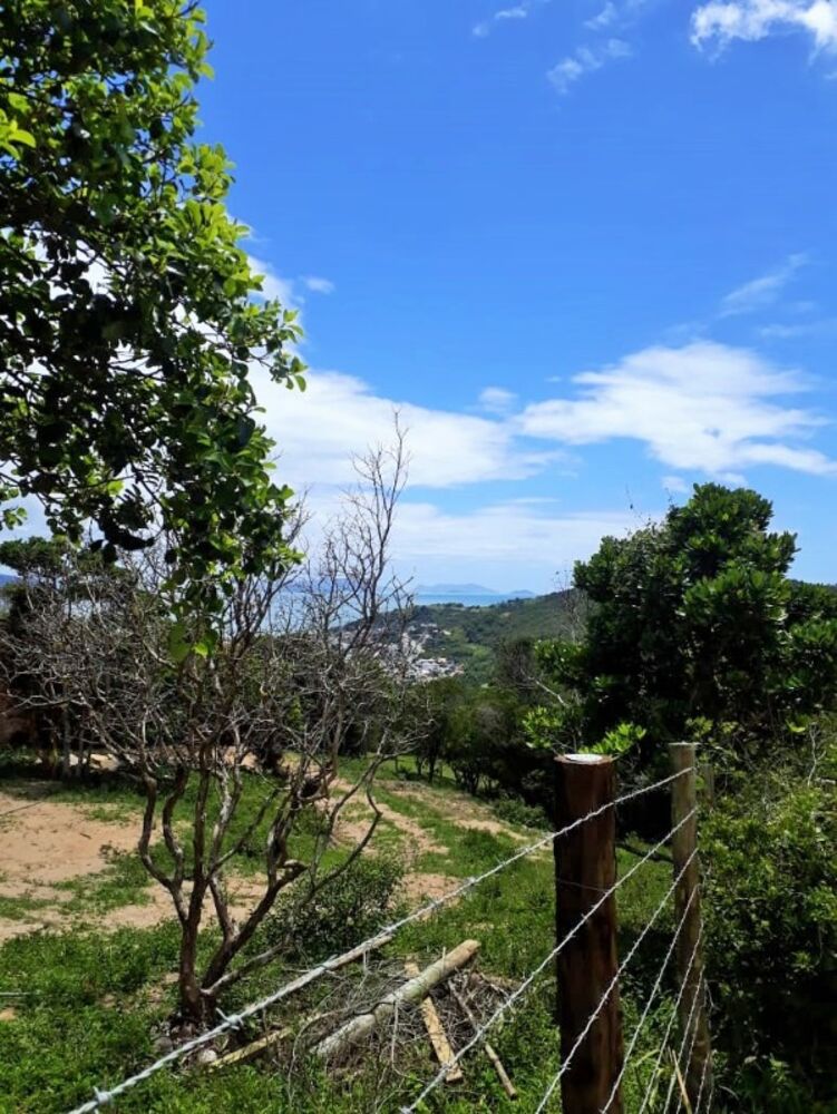 Terreno, 4500 m² - Foto 6