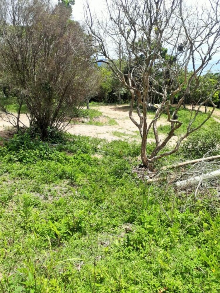 Terreno, 4500 m² - Foto 9