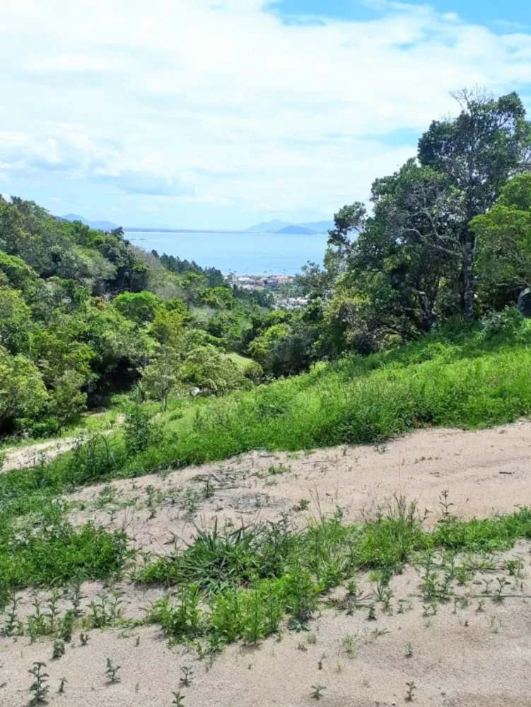 Terreno, 4500 m² - Foto 7