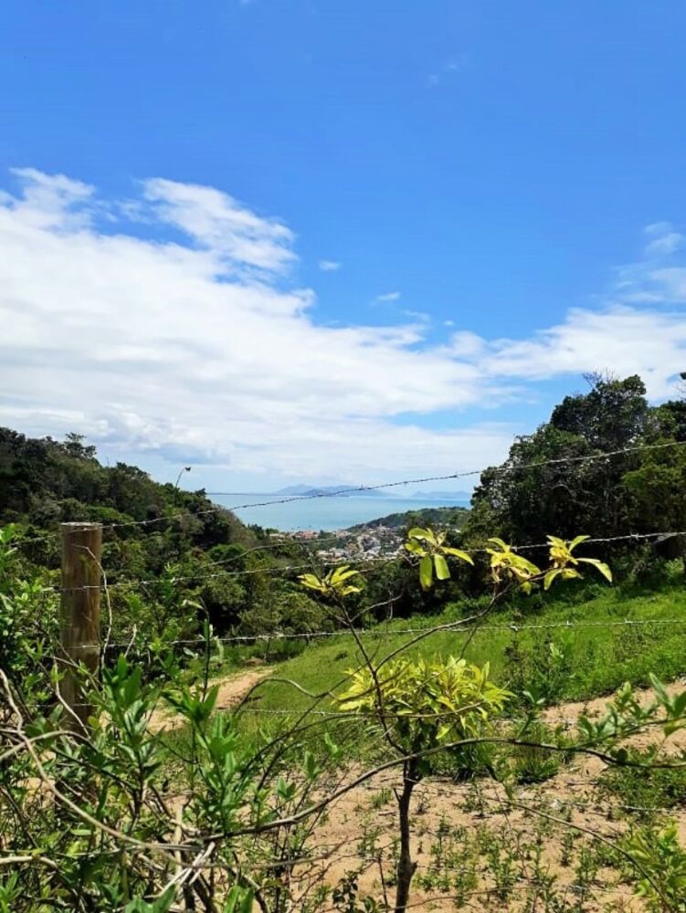 Terreno, 4500 m² - Foto 5