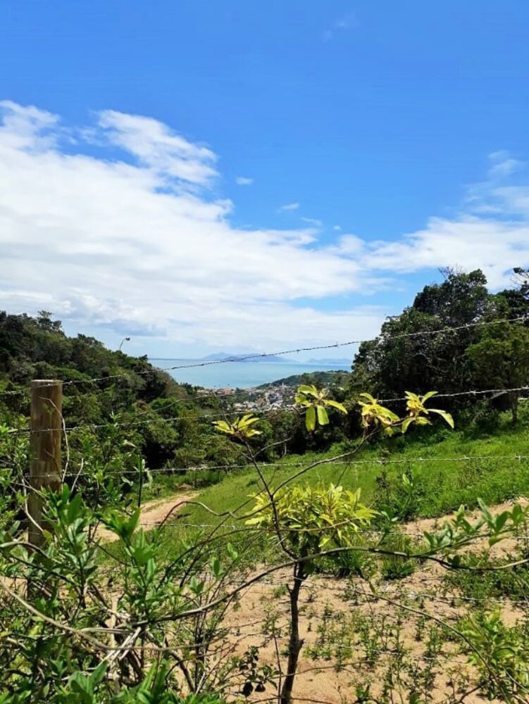 Terreno, 4500 m² - Foto 3