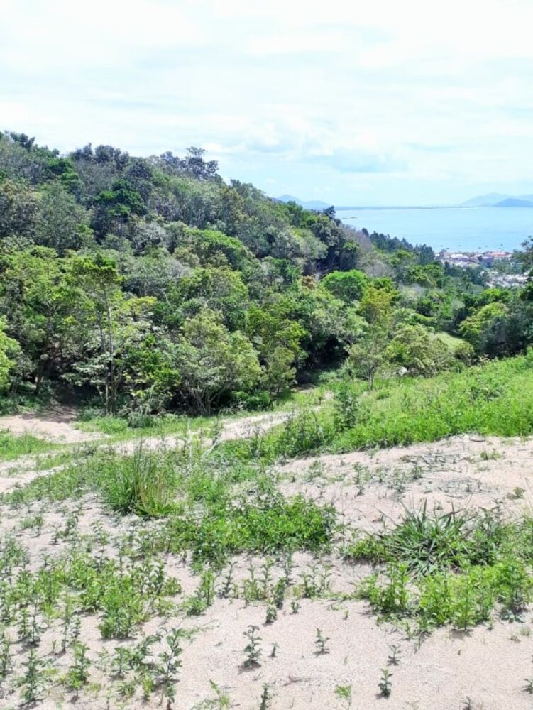 Terreno, 4500 m² - Foto 8