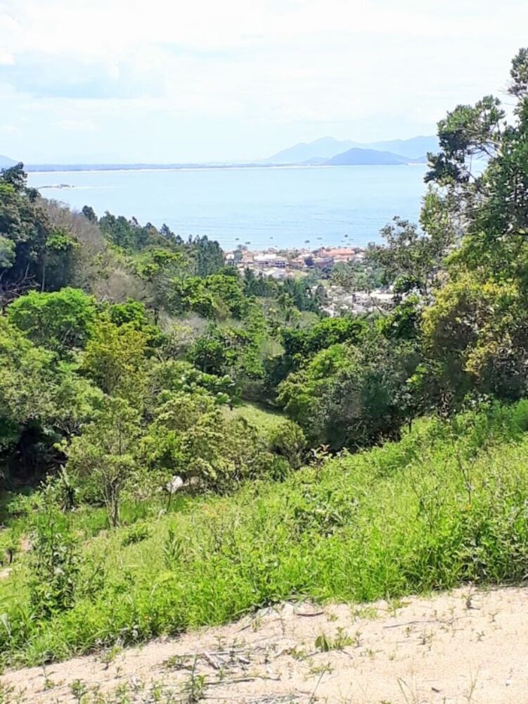 Terreno, 4500 m² - Foto 1