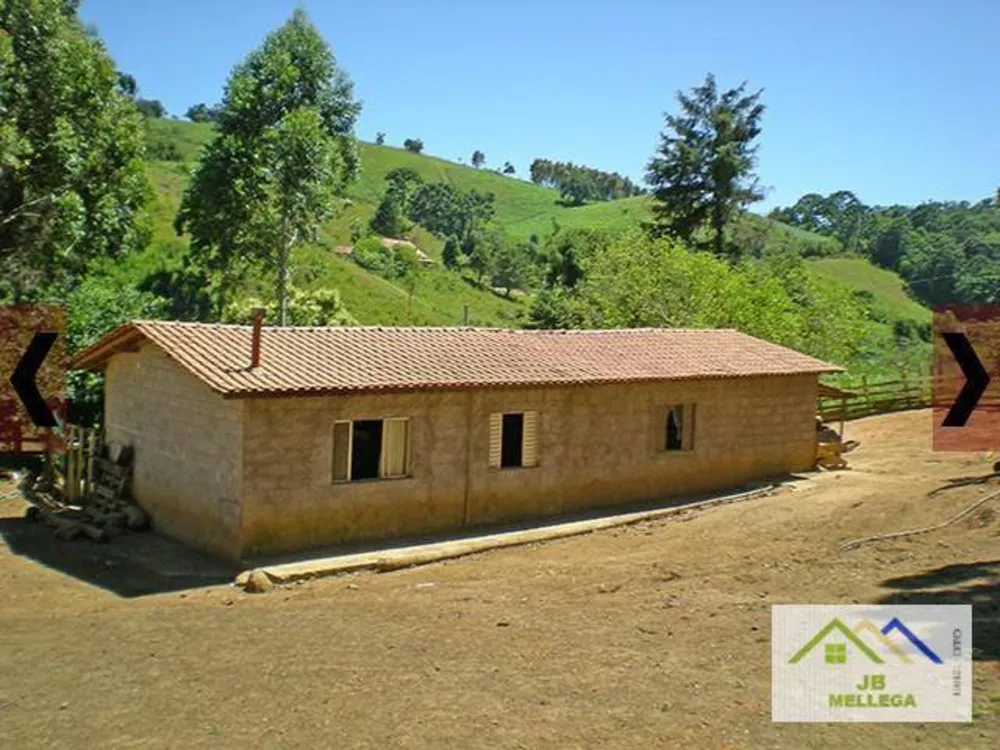 Sítio, 4 quartos, 8833 m² - Foto 7