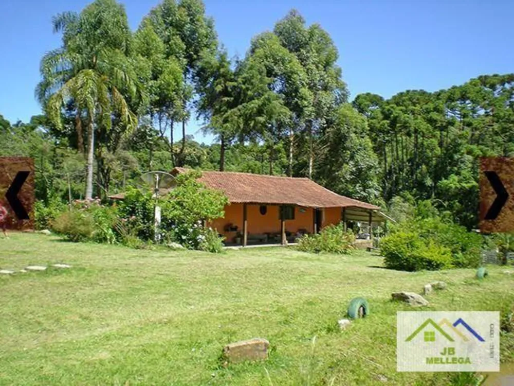 Sítio, 4 quartos, 8833 m² - Foto 2