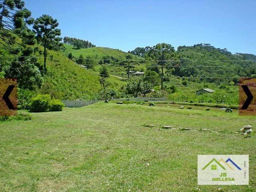 Sítio, 4 quartos, 8833 m² - Foto 11