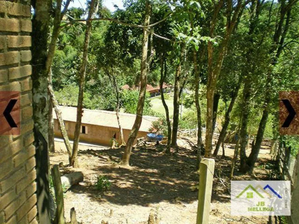 Sítio, 4 quartos, 8833 m² - Foto 16