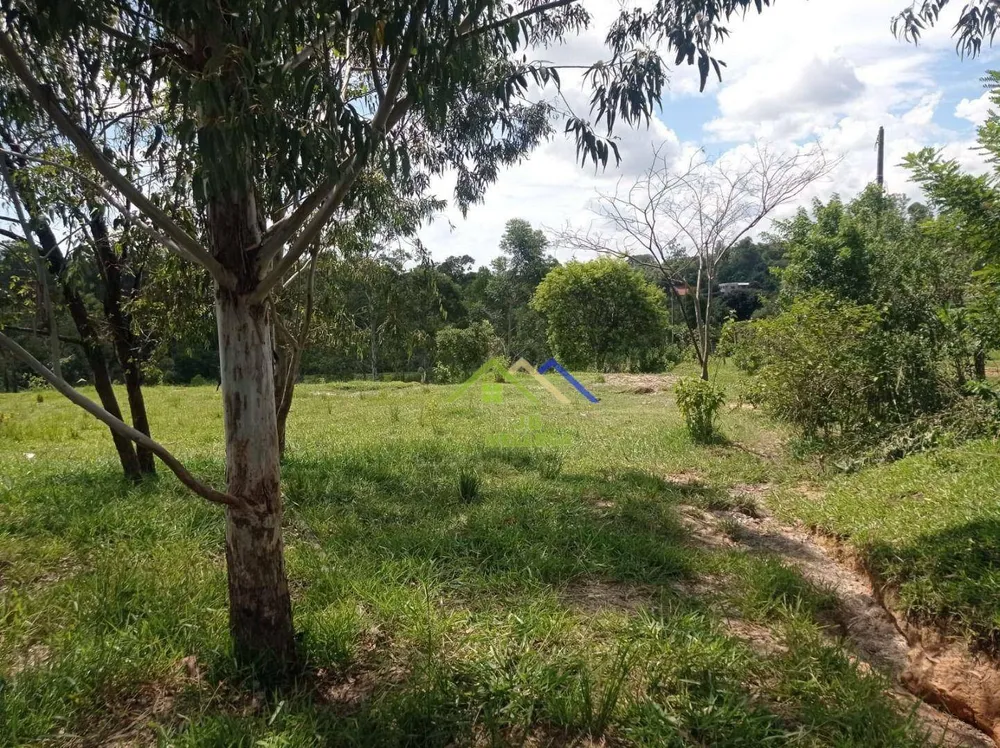 Terreno, 2 hectares - Foto 9