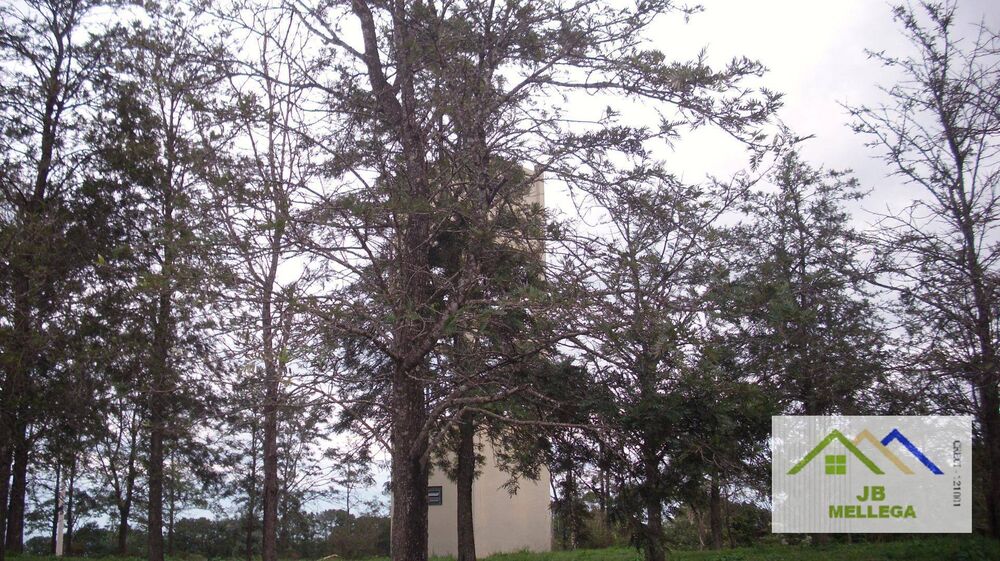 Chácara à venda com 1 quarto, 70m² - Foto 4