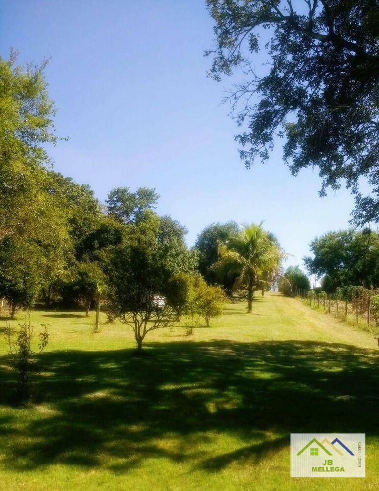 Chácara, 3 quartos, 3330 m² - Foto 3