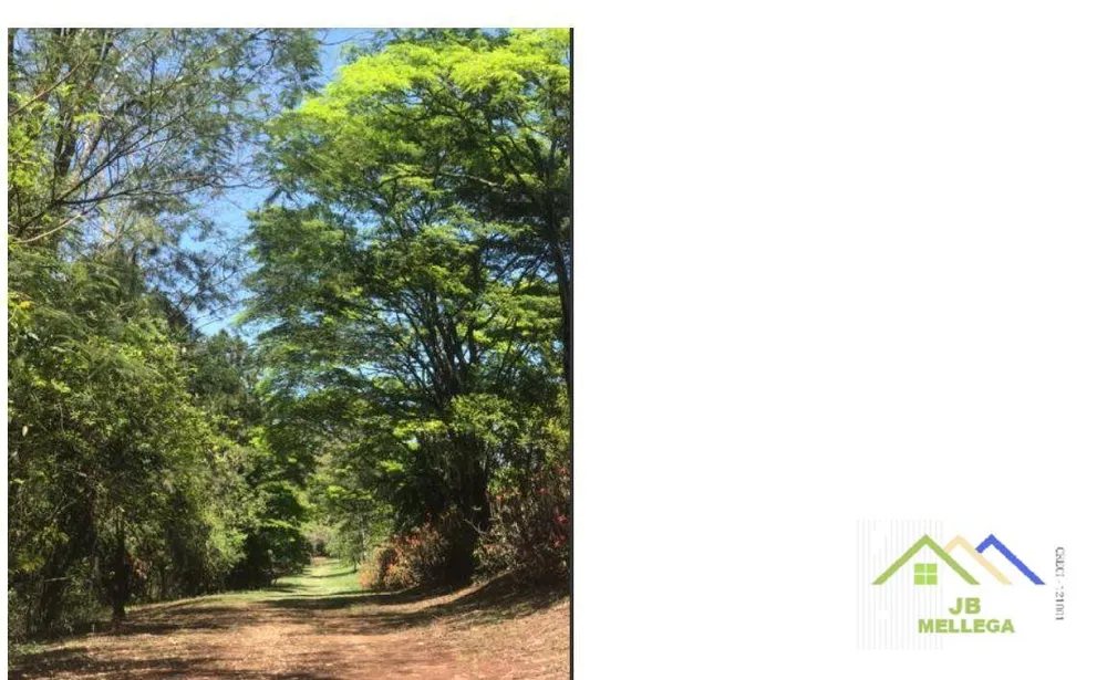 Chácara, 4 quartos, 5500 m² - Foto 14