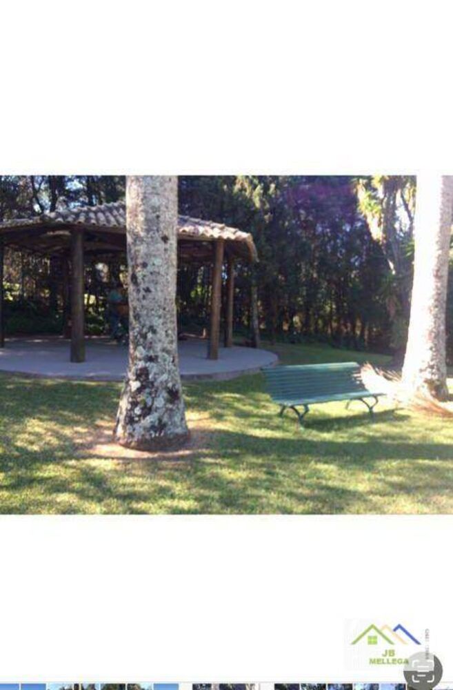 Chácara, 4 quartos, 5500 m² - Foto 4