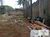 Terreno, 809 m² - Foto 4