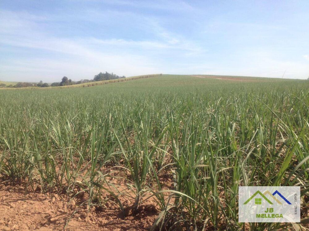 Sítio, 3 quartos, 108 hectares - Foto 3