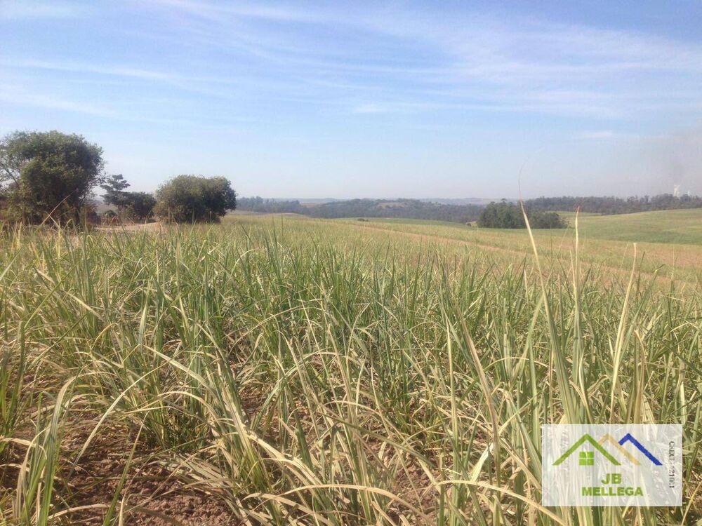 Sítio, 3 quartos, 108 hectares - Foto 4