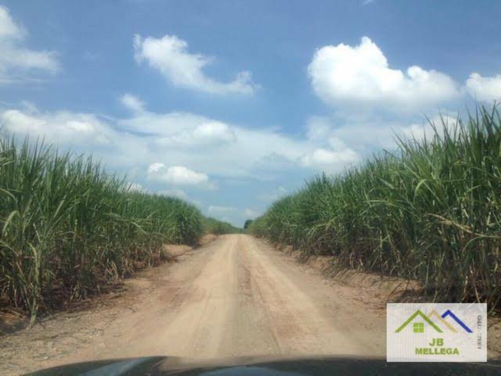 Sítio, 3 quartos, 108 hectares - Foto 1