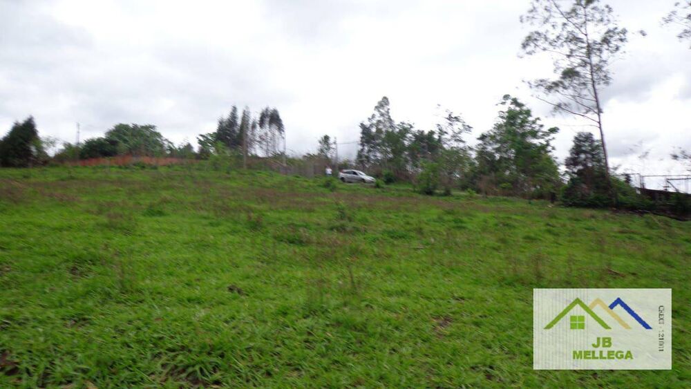 Loteamento e Condomínio, 8065 m² - Foto 3