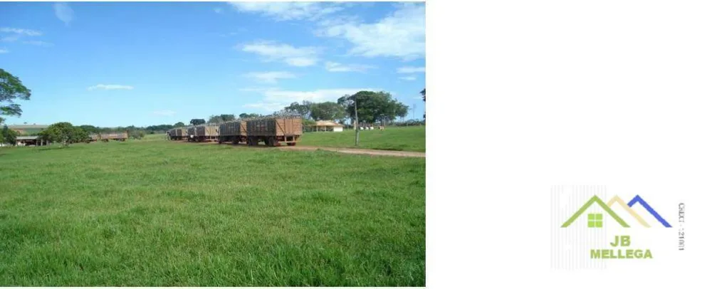 Fazenda, 6085 hectares - Foto 3
