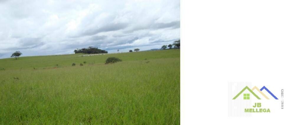 Fazenda, 6085 hectares - Foto 2