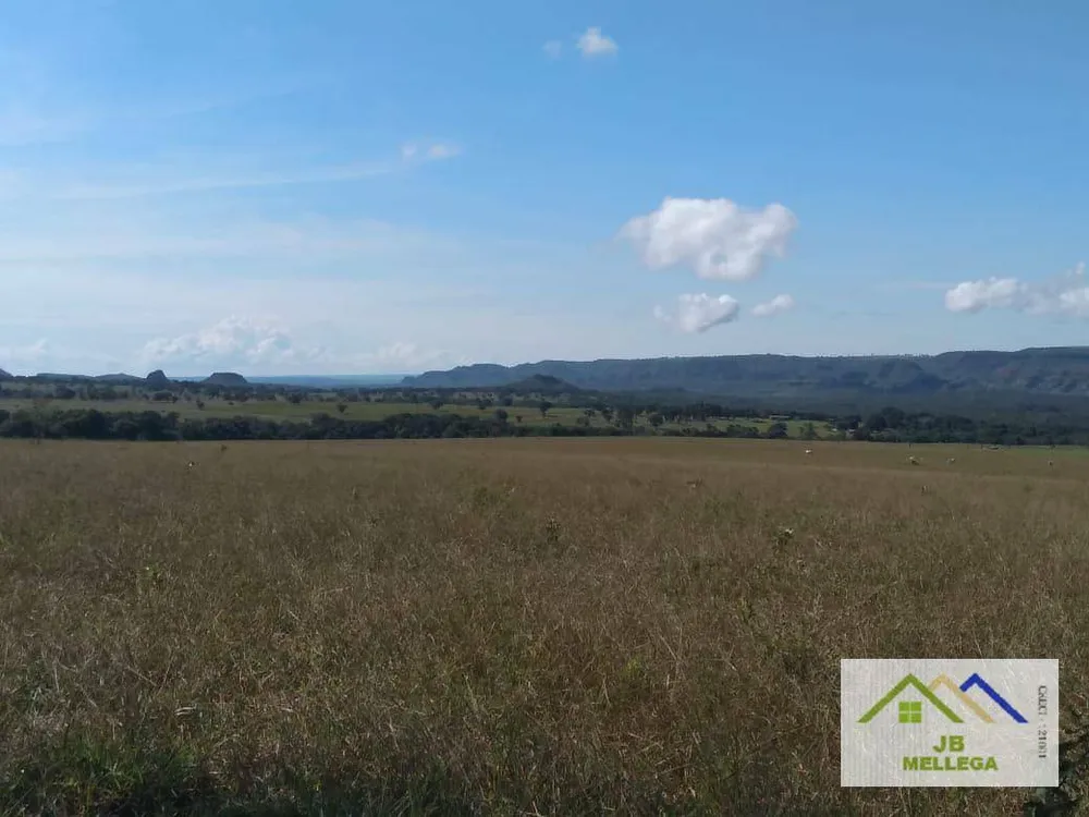 Fazenda, 6085 hectares - Foto 11