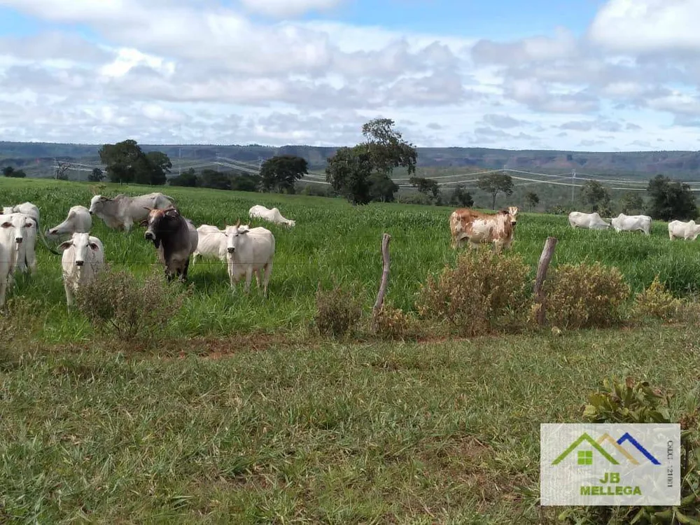 Fazenda, 6085 hectares - Foto 15
