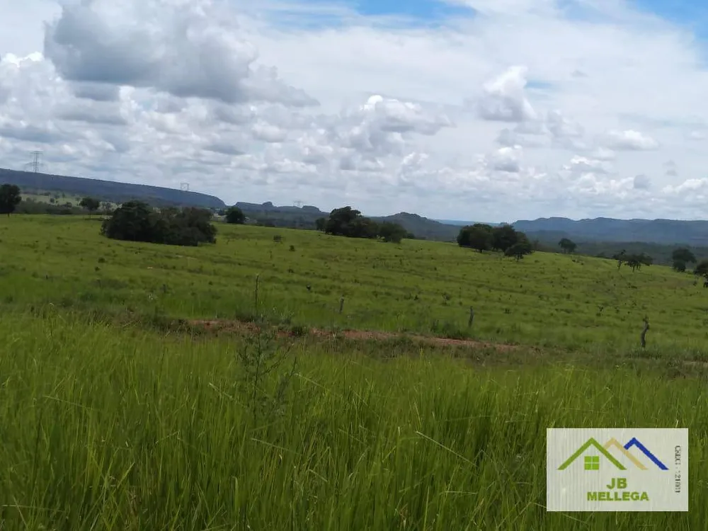 Fazenda, 6085 hectares - Foto 13