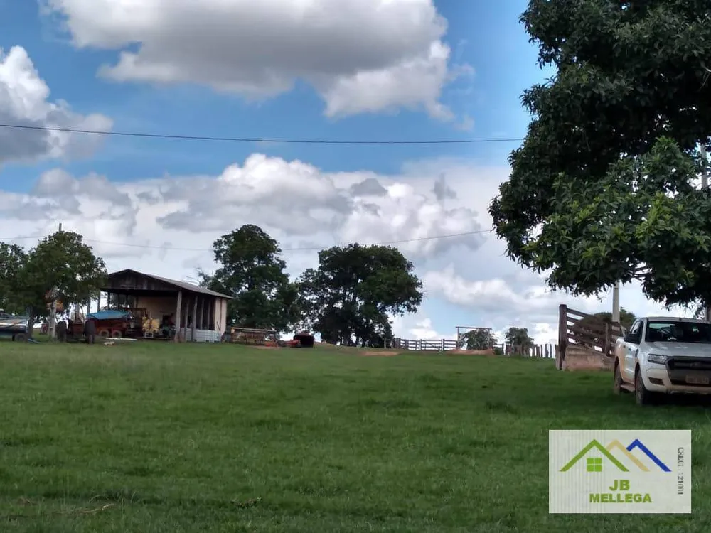 Fazenda, 6085 hectares - Foto 7