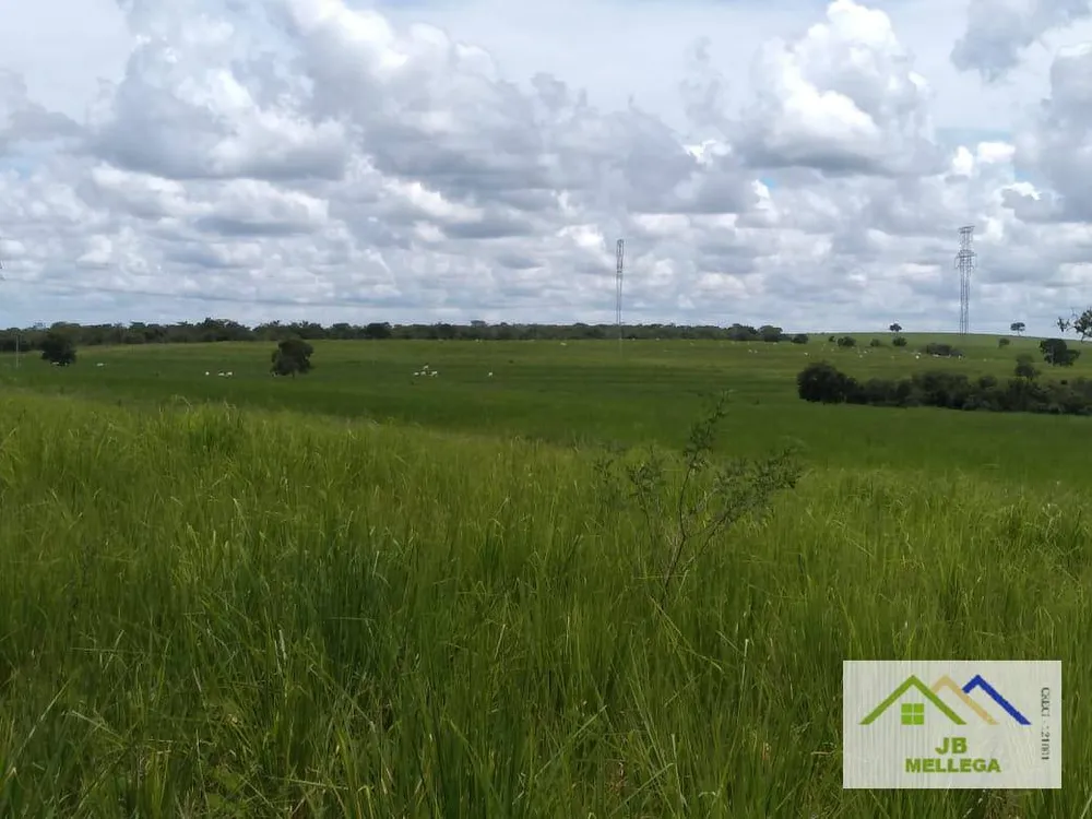 Fazenda, 6085 hectares - Foto 14