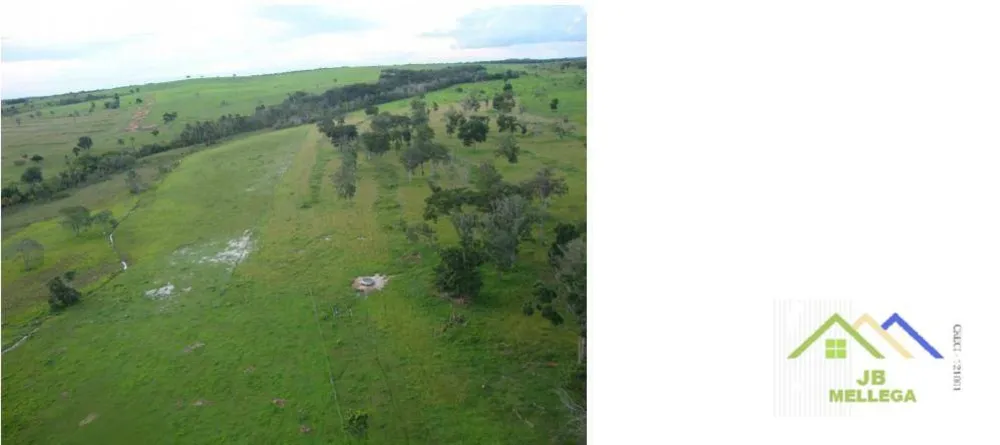 Fazenda, 6085 hectares - Foto 4