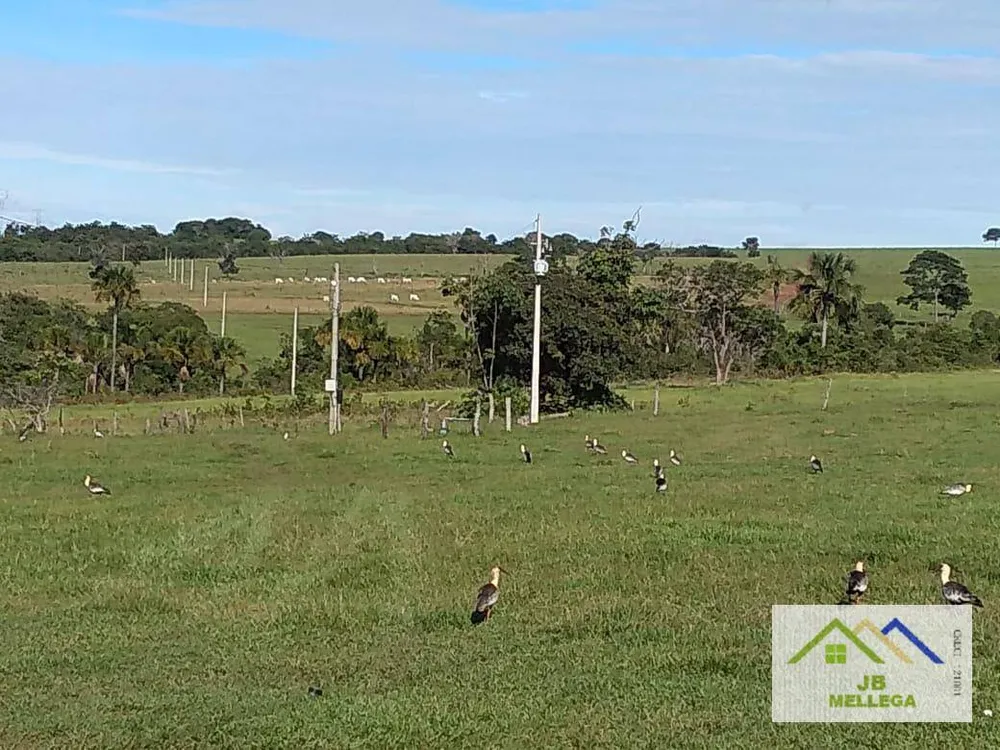 Fazenda, 6085 hectares - Foto 16