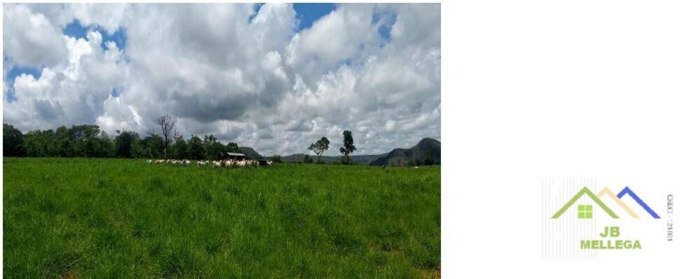 Fazenda, 6085 hectares - Foto 1