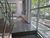 Prédio Inteiro, 675 m² - Foto 2