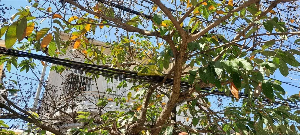 Casa, 4 quartos, 124 m² - Foto 29