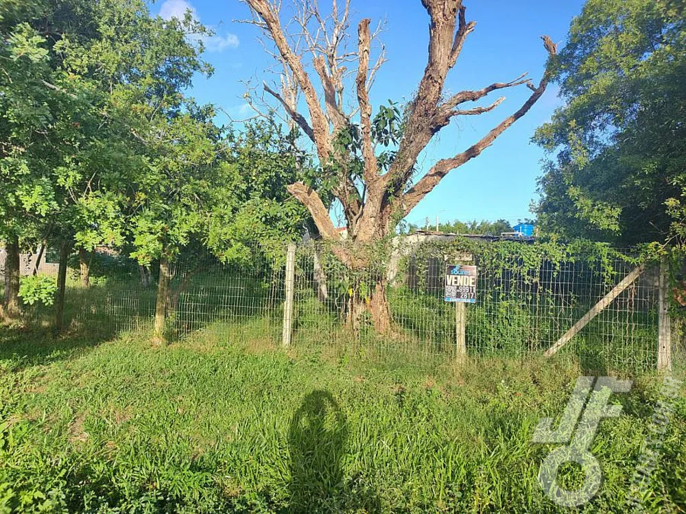 Terreno, 457 m² - Foto 3